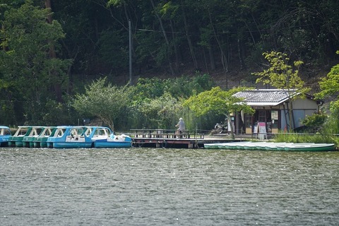 ALP05799