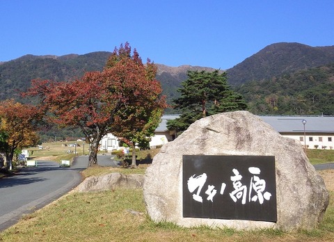 WG3_7237 (2)