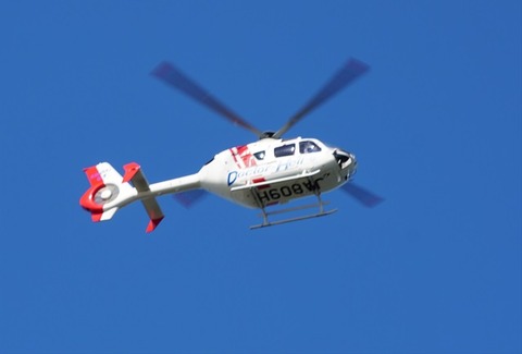 ALP06561
