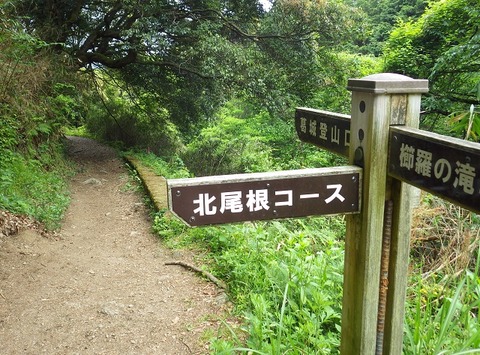 31-WG3_2223
