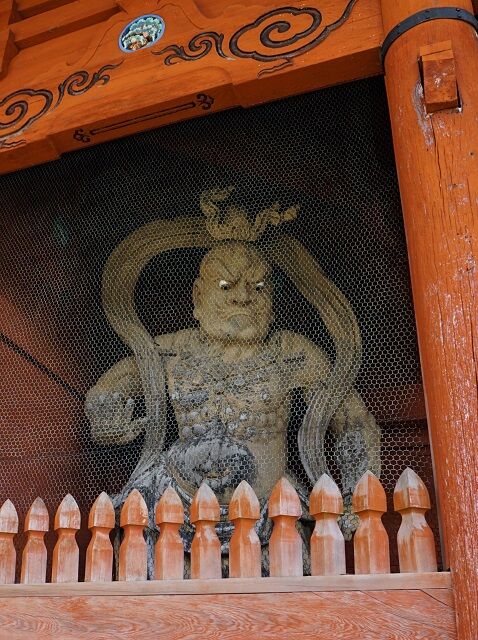 DSC00559