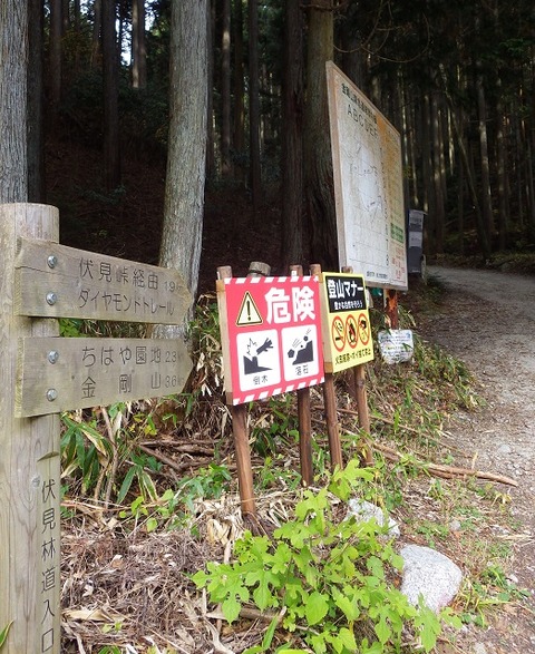 WG3_1110-1349
