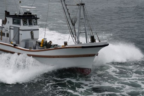 ALP05541