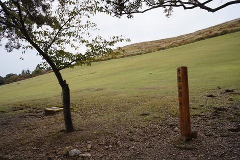 DSC05356