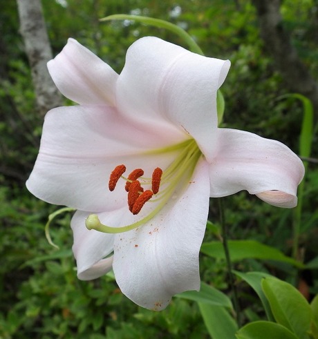 WG3_2771