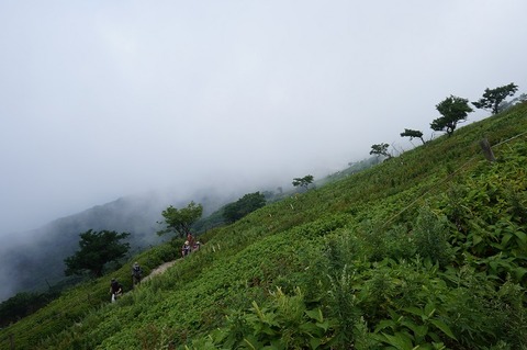 DSC04797