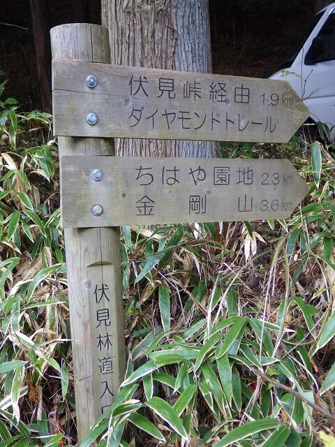 WG3_7764