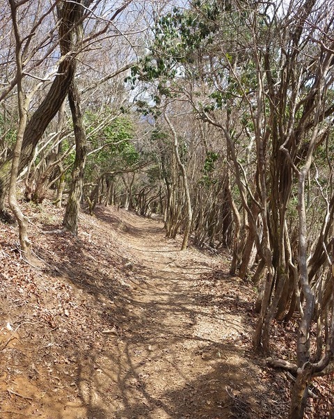 WG3_5357
