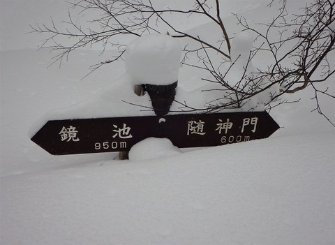 WG4_8085