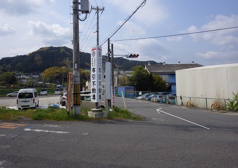 WG3_5486