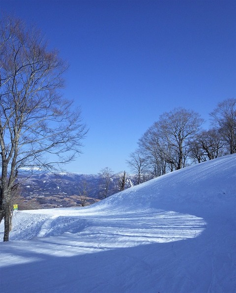 上野⑥去り行く冬(高鷲スノーパーク)