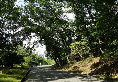 DSC01155