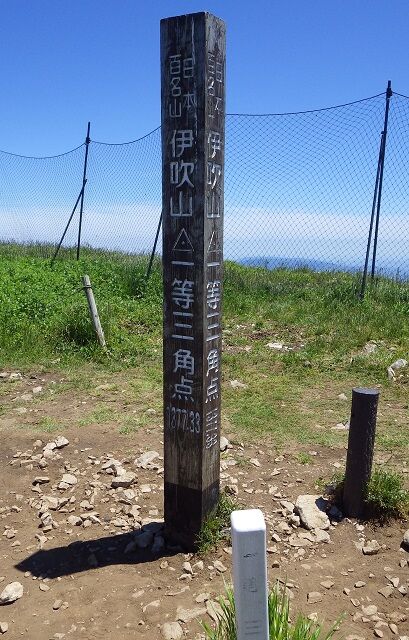 WG3_6393