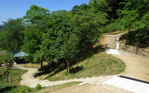 WG3_5977
