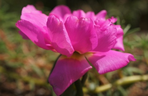 DSC04143