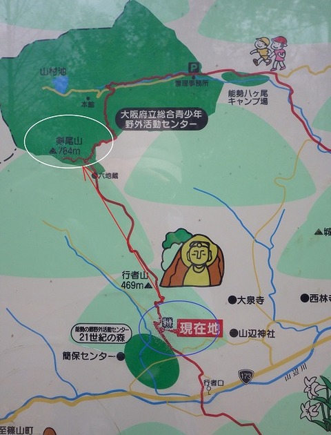 WG3_5294