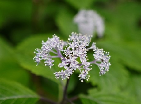 10-64_00568