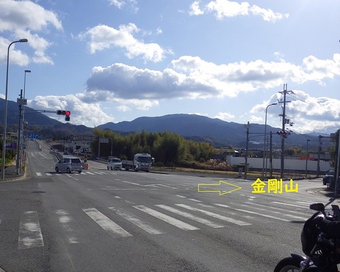 WG3_7948