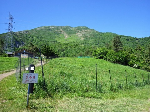 WG3_6412