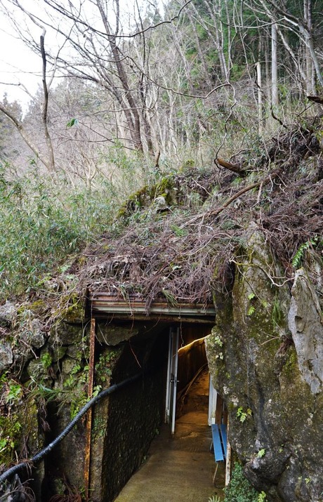 33-DSC04272