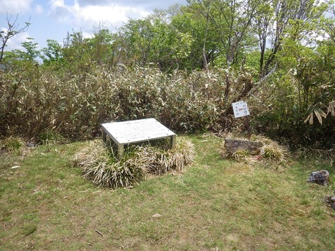 WG3_2202