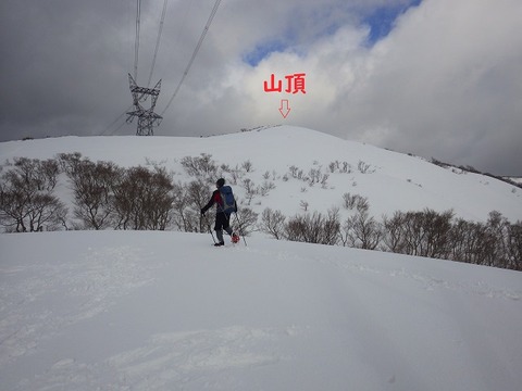 WG3_8141