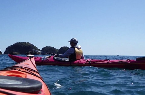 WG4_7534_1110