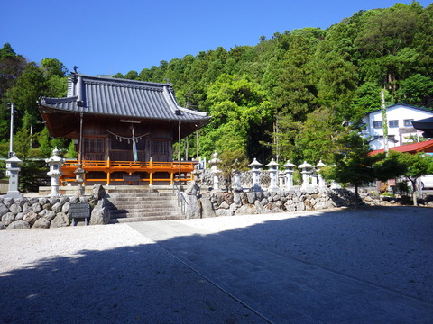 WG3_6431