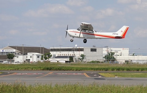 ALP03517