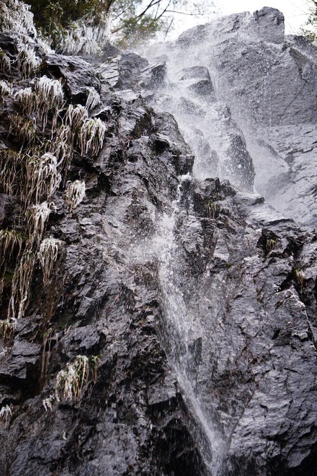 ⑤上野正純：溶ける氷瀑：兵庫県扁妙の滝