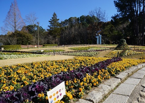 DSC01417