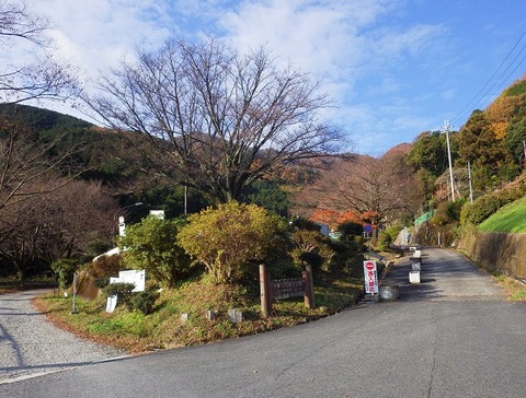 WG3_3852