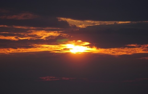 ALP05597