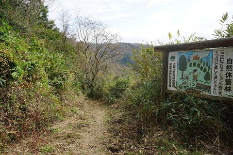 DSC04565