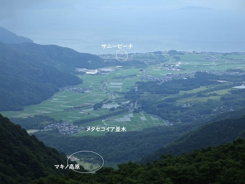 WG3_9946
