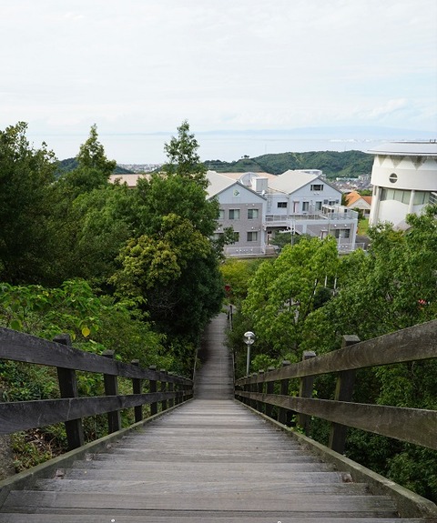 DSC01836