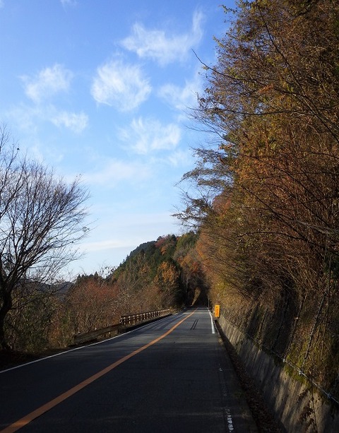 WG3_7767