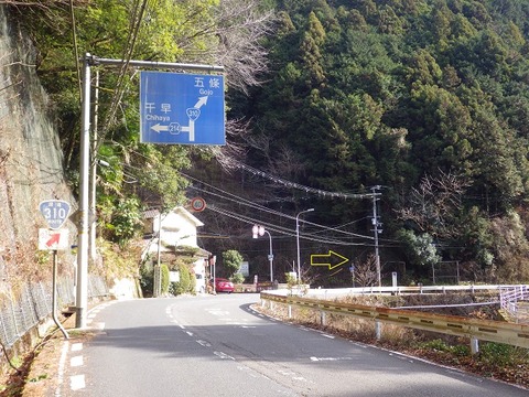 WG3_7964