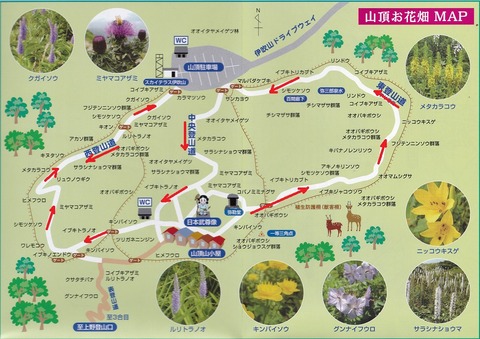 伊吹山お花畑
