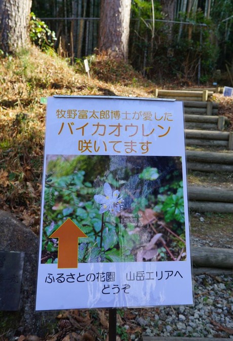 4-DSC01400