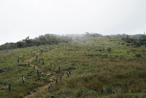 ALP01602