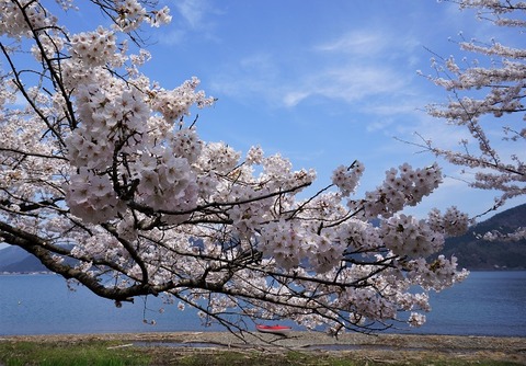 19-DSC02504