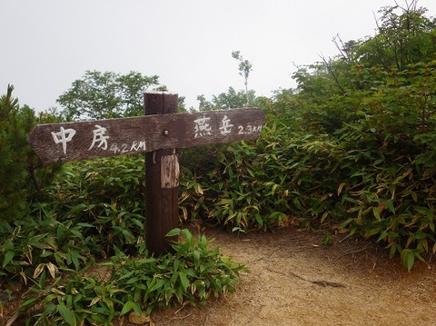 WG3_3448