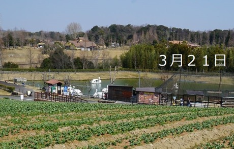 4-DSC04413