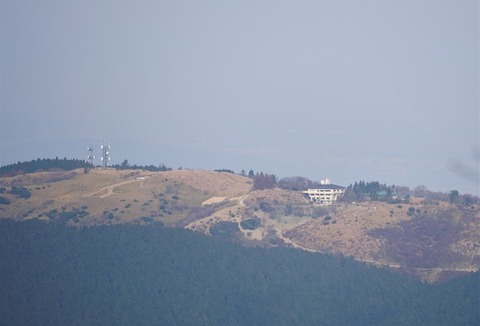 ALP07530