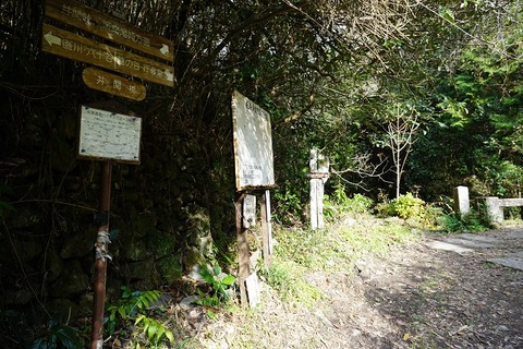 DSC04568
