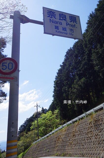 WG3_5891