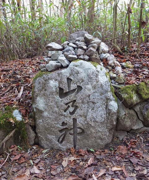 WG3_7755