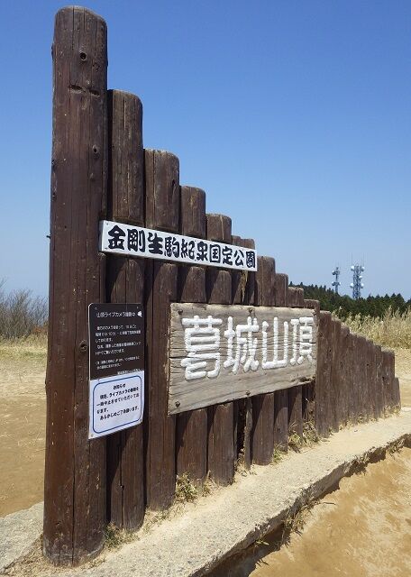 WG3_5656