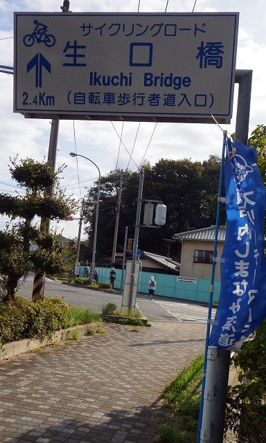 WG4_6995